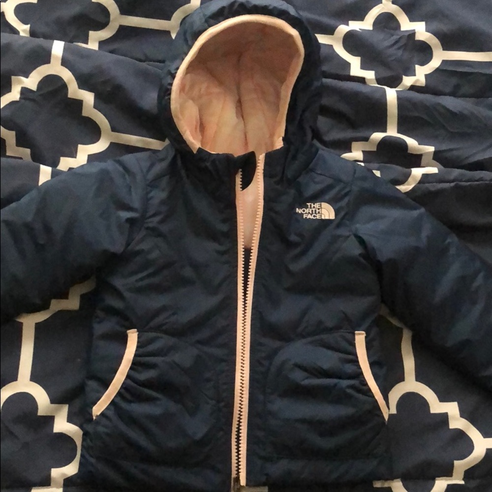 The north face coat
